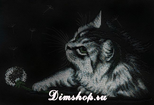 Вышивка кота на черной канве 50