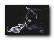 Набор для вышивания Hobby & Pro 708