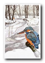 Набор для вышивания Permin 70-4129