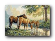 Dimensions Shop. Набор для вышивания Dimensions 35174 Horses by a ...