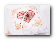 �������� ����� 8294