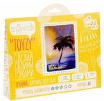 Toyzy TZ-P021