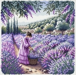    AVA Stitch P031