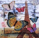 Butterfly 482