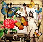 Butterfly 116