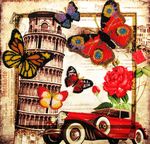 Butterfly 365