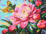 Butterfly 243
