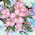 Butterfly 262