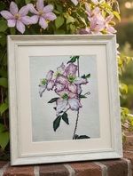 ����� ��� ��������� Collection D Art BC8114