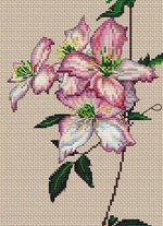 ����� ��� ��������� Collection D Art BC8114