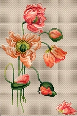 Collection D Art BC8111