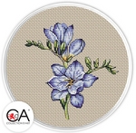 Collection D Art BC8113