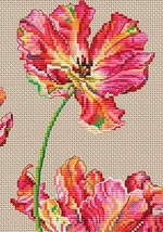 Collection D Art 5.386