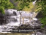 Goblenset 1003