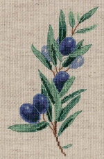  8-521