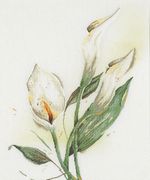 Lanarte PN-0191875