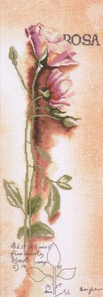 Lanarte PN-0155691