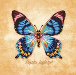 Lanarte PN-0222193