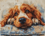 Luca-S B7038