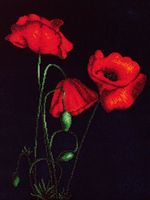 ÐÐ°Ð³Ð¸Ñ ÐºÐ°Ð½Ð²Ñ Ð-051