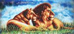 Магия канвы Б-134