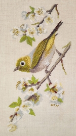 ����� ��� ��������� ����� ��������� 03.011.15