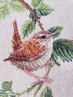 ����� ��� ��������� ����� ��������� 03.011.16