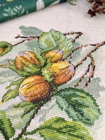 ����� ��� ��������� ����� ��������� 04.009.24