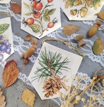 ����� ��� ��������� ����� ��������� 21.003.25