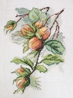 ����� ��������� 04.009.24