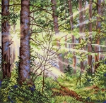 ����� ��� ��������� �� ������ ��-1004