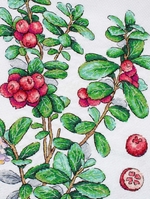 ����� ��� ��������� �� ������ ��-928