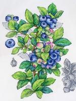 ����� ��� ��������� �� ������ ��-929