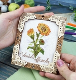 Набор для вышивания МП Студия О-140