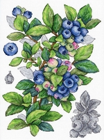 �� ������ ��-929