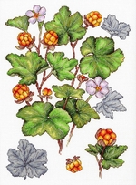 �� ������ ��-930