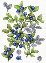 �� ������ ��-931