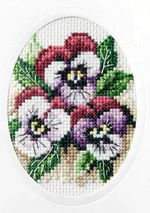 Orchidea 6161