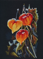     1617