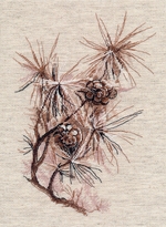     1662