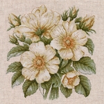 ����� ��� ��������� ���� 1731