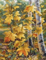 Овен 1559