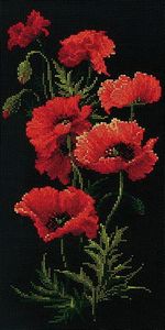  ( ) 1057