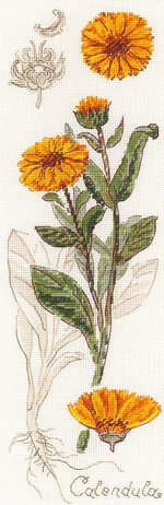  ( ) 1608