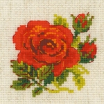  ( ) 1843