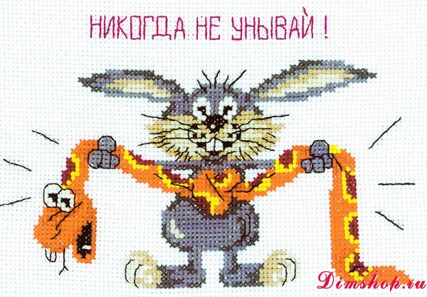 Никогда не сдавайся схема вышивки