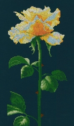 RTO M696