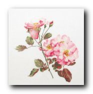 ����� ��� ��������� Thea Gouverneur 412