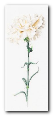 ����� ��� ��������� Thea Gouverneur 466