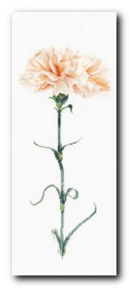 ����� ��� ��������� Thea Gouverneur 468